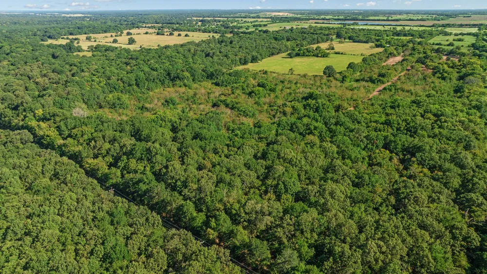 FR 194 Blossom, TX 75416