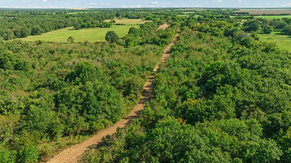 FR 194 Blossom, TX 75416