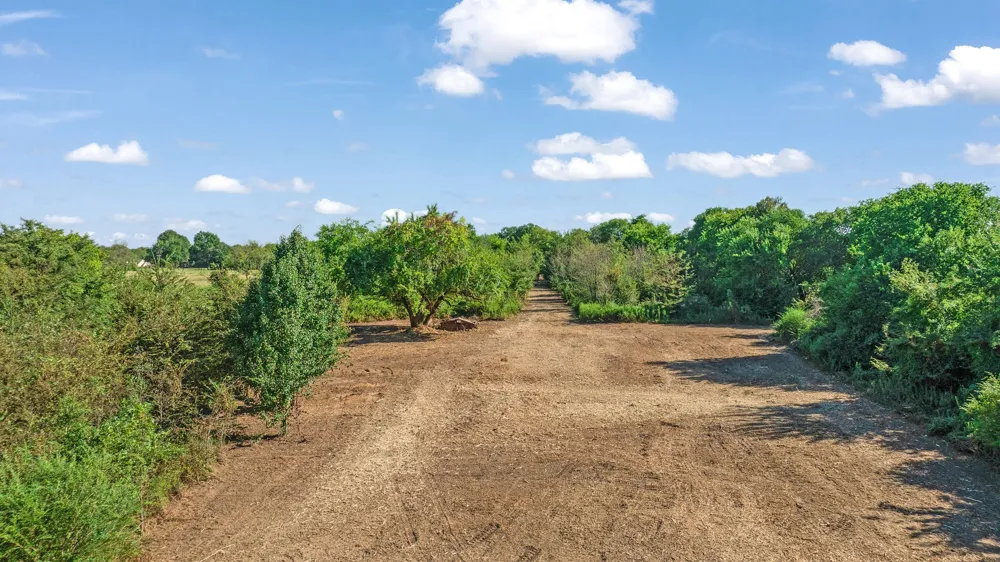 FR 194 Blossom, TX 75416