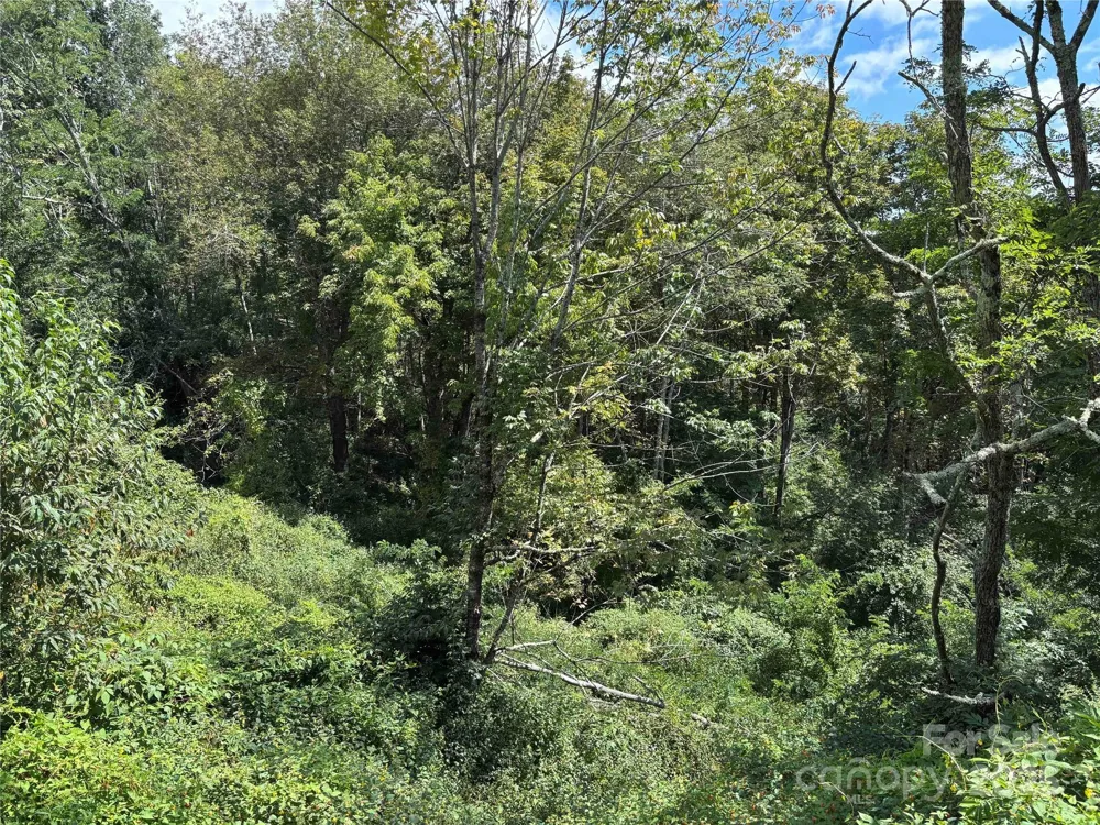 TBD Linhigh Drive #66 Newland, NC 28657
