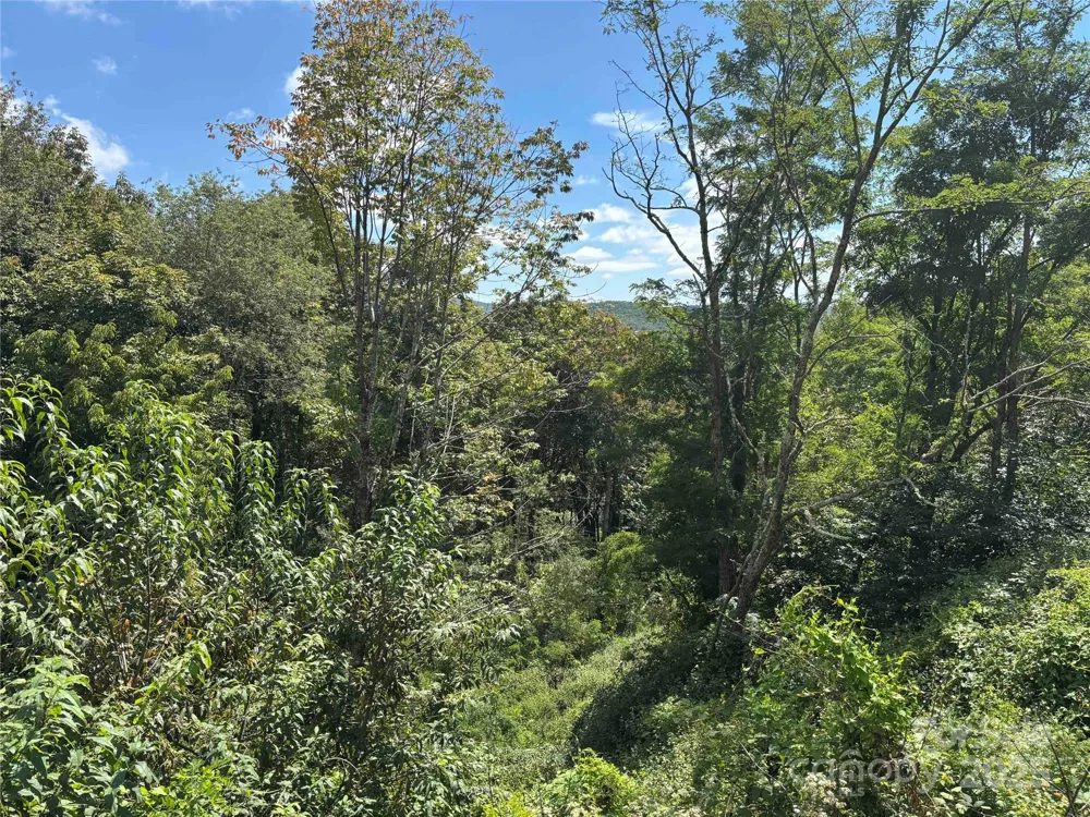 TBD Linhigh Drive #66 Newland, NC 28657