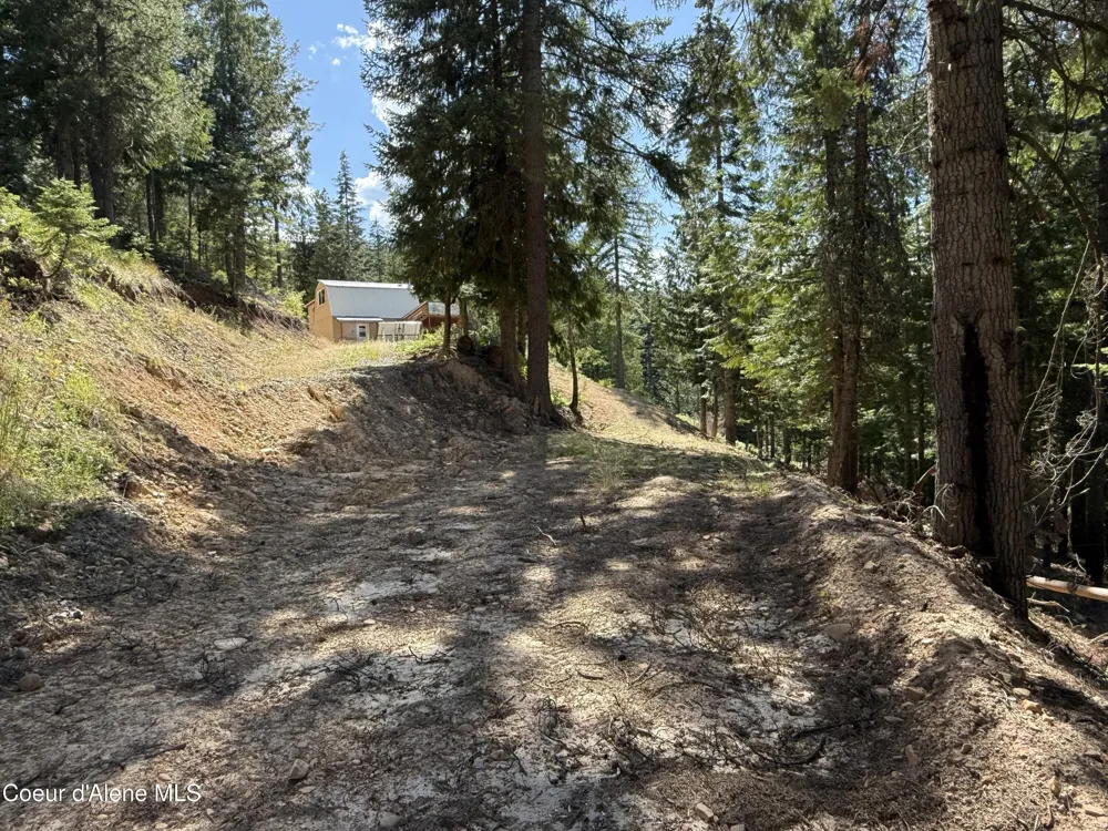 625 E Fork French Gulch Kingston, ID 83839