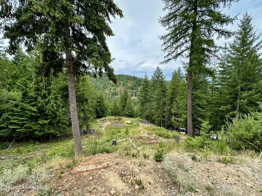 625 E Fork French Gulch Kingston, ID 83839