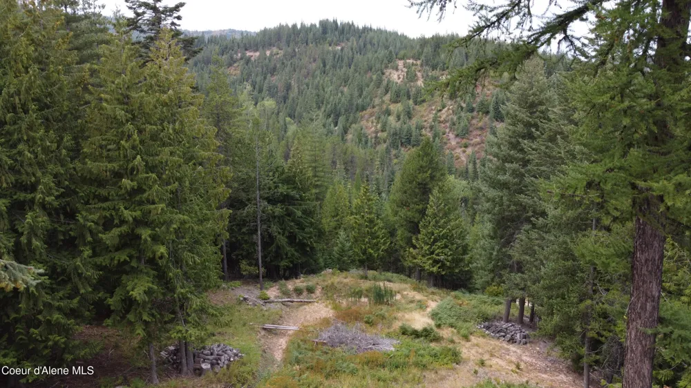 625 E Fork French Gulch Kingston, ID 83839