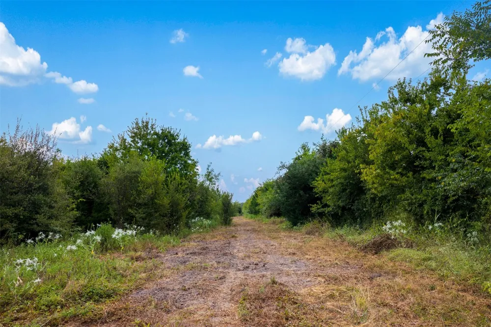 2 LCR 392 Groesbeck, TX 76642