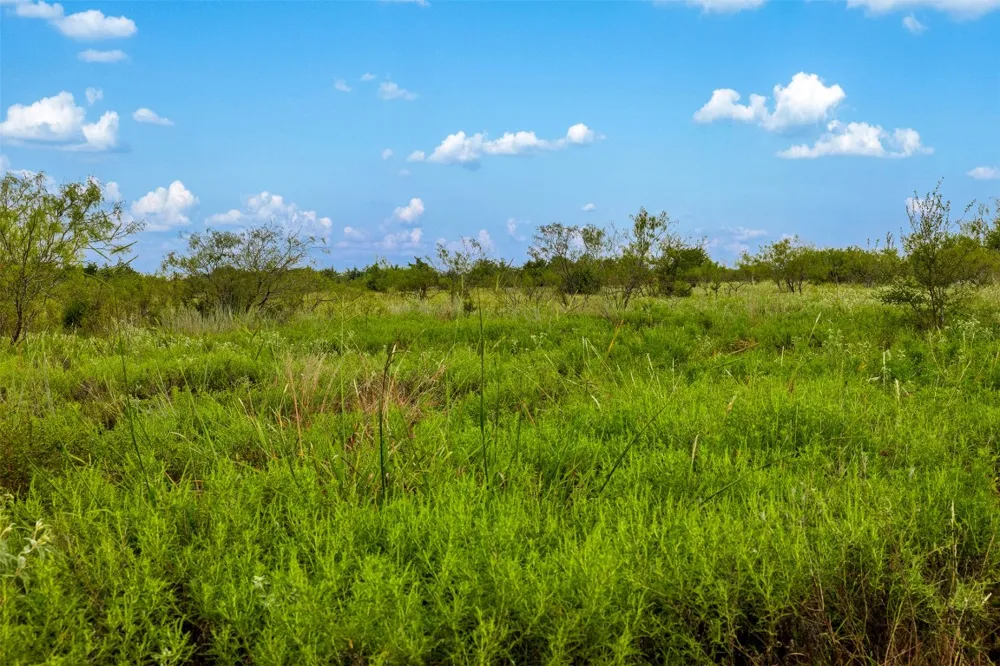 2 LCR 392 Groesbeck, TX 76642