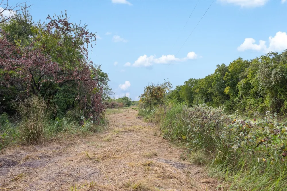 2 LCR 392 Groesbeck, TX 76642