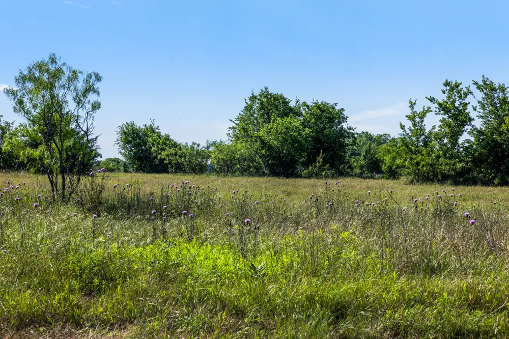 2 LCR 392 Groesbeck, TX 76642
