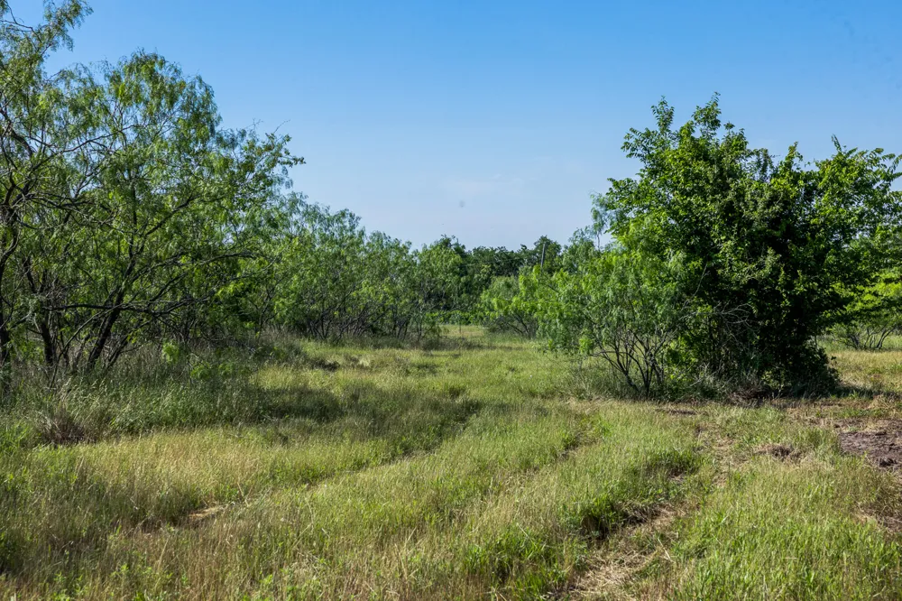 2 LCR 392 Groesbeck, TX 76642