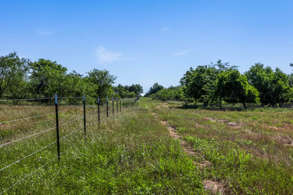 2 LCR 392 Groesbeck, TX 76642