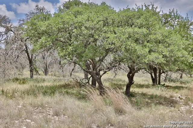 25 Dallas Josie Rd Harper, TX 78631