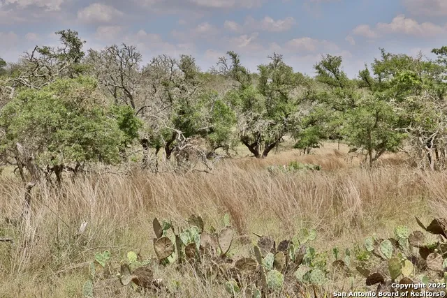 25 Dallas Josie Rd Harper, TX 78631