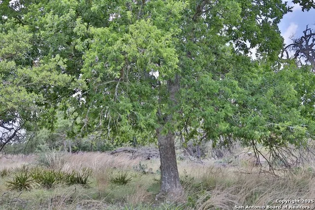 25 Dallas Josie Rd Harper, TX 78631