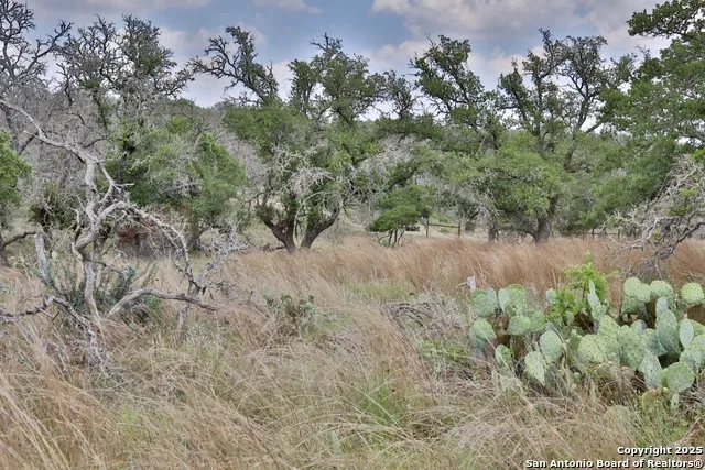 25 Dallas Josie Rd Harper, TX 78631