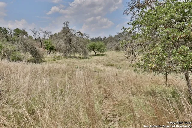 25 Dallas Josie Rd Harper, TX 78631