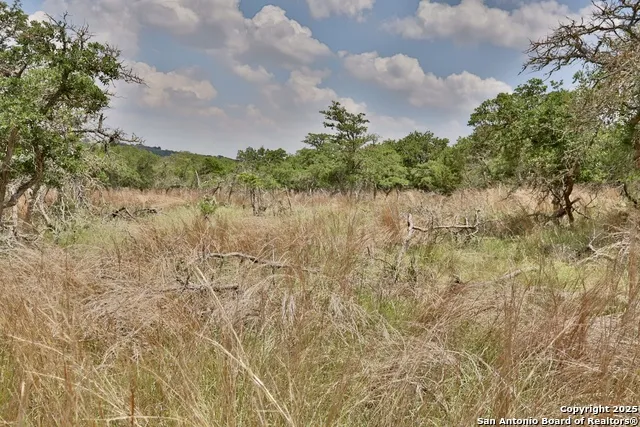 25 Dallas Josie Rd Harper, TX 78631