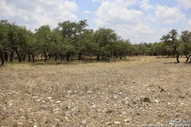25 Dallas Josie Rd Harper, TX 78631