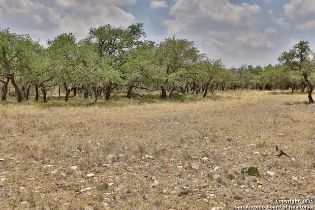 25 Dallas Josie Rd Harper, TX 78631
