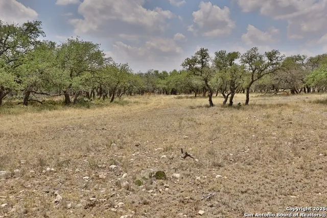 25 Dallas Josie Rd Harper, TX 78631