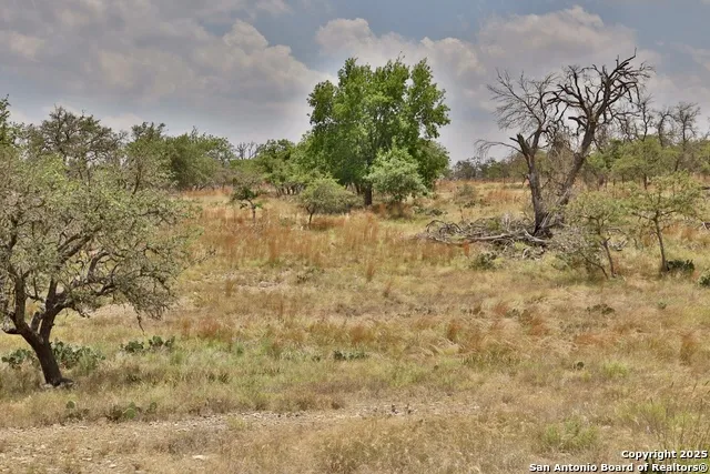 25 Dallas Josie Rd Harper, TX 78631