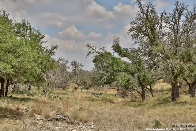 25 Dallas Josie Rd Harper, TX 78631