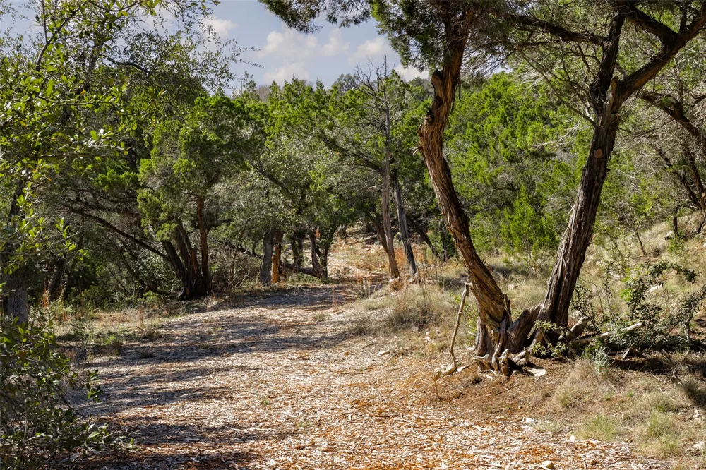 201 Buckeye Trail West Lake Hills, TX 78746