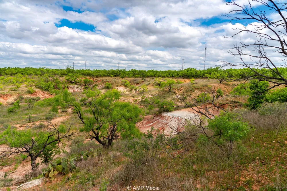 CR 195 Anson, TX 79501