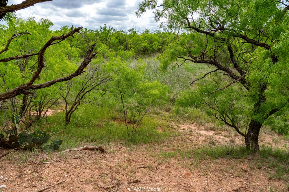 CR 195 Anson, TX 79501