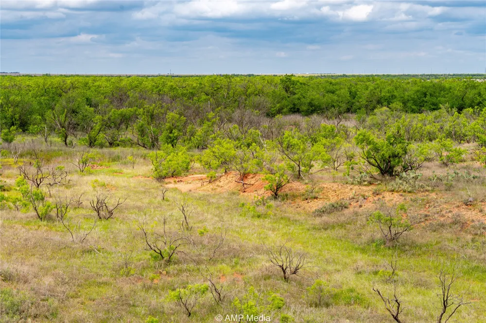 CR 195 Anson, TX 79501