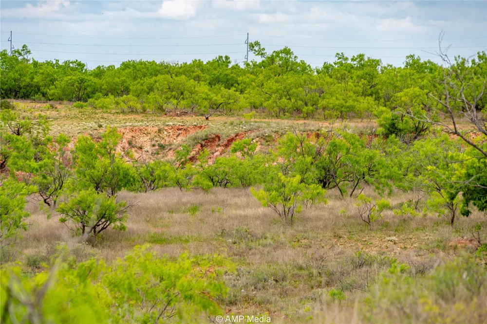 CR 195 Anson, TX 79501