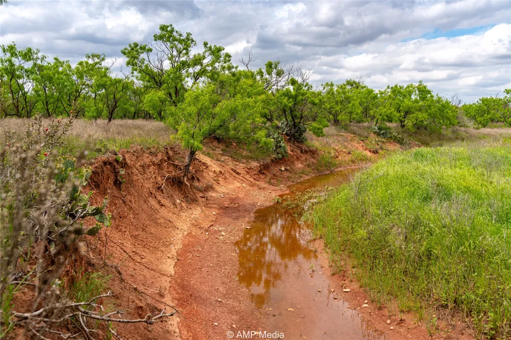 CR 195 Anson, TX 79501