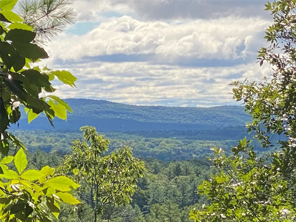 0 Dug Hill Road Hurley, NY 12443