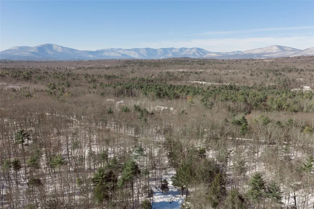 0 Dug Hill Road Hurley, NY 12443