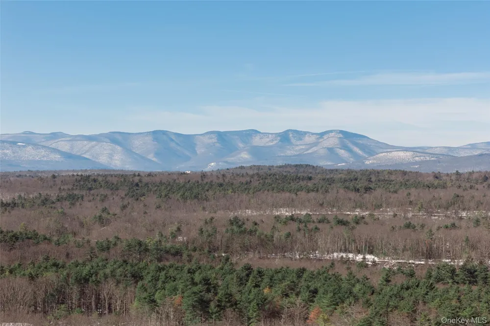 0 Dug Hill Road Hurley, NY 12443
