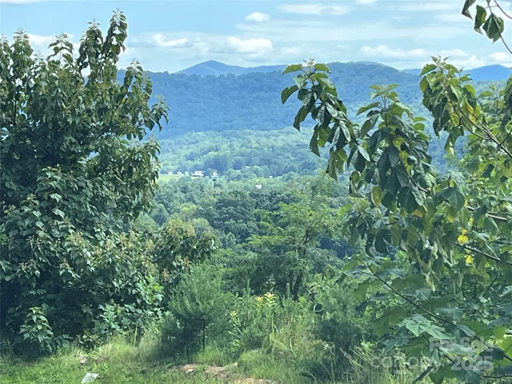 4 Summit View Drive #4 Canton, NC 28716