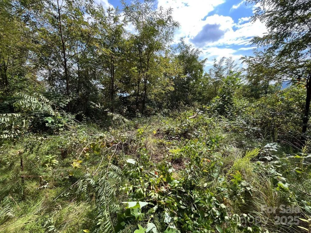 4 Summit View Drive #4 Canton, NC 28716