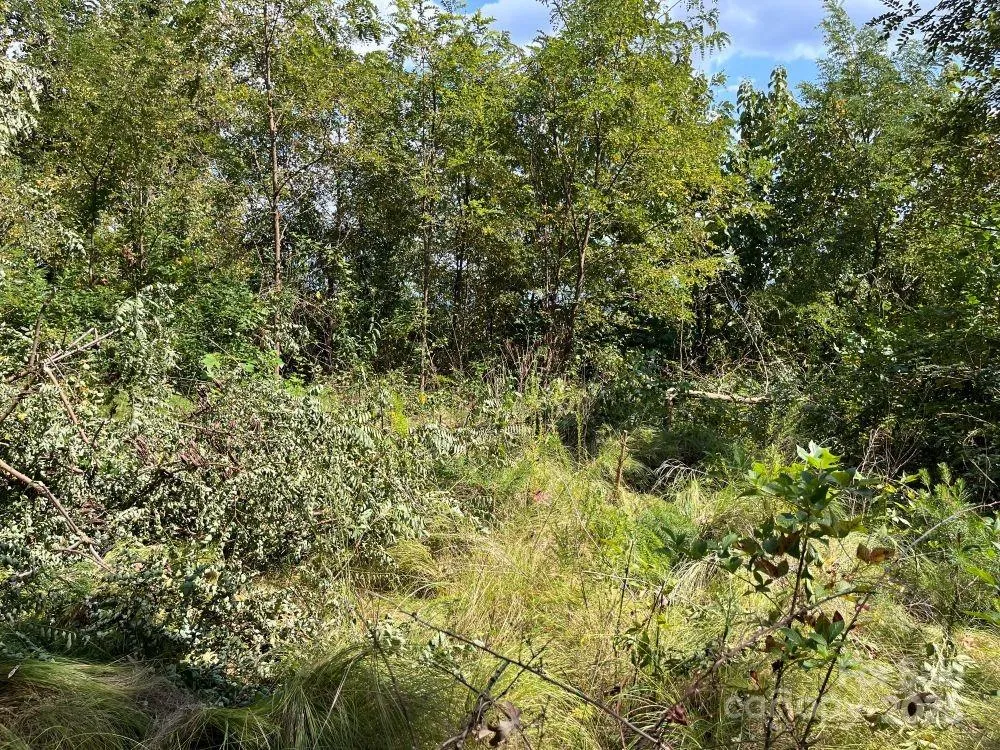 4 Summit View Drive #4 Canton, NC 28716