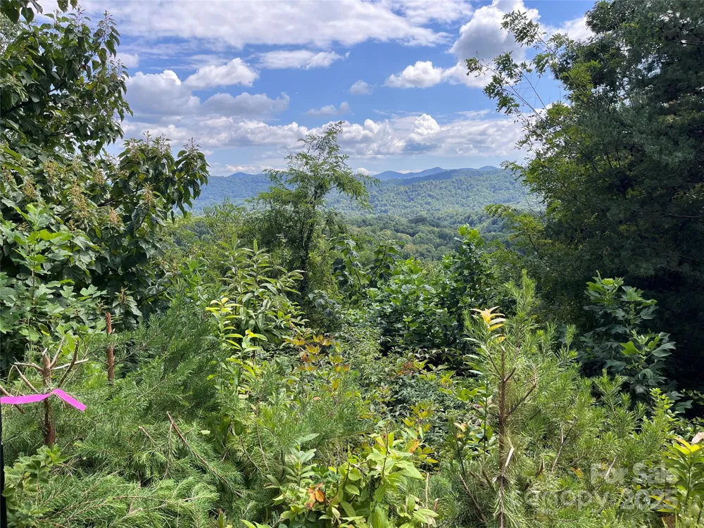 4 Summit View Drive #4 Canton, NC 28716