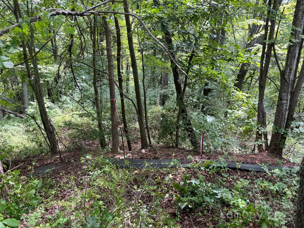 4 Summit View Drive #4 Canton, NC 28716