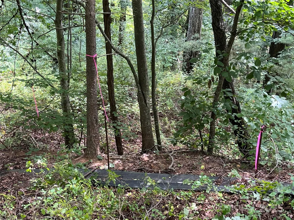 4 Summit View Drive #4 Canton, NC 28716