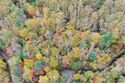 VL74 Mountain Forest Estates
