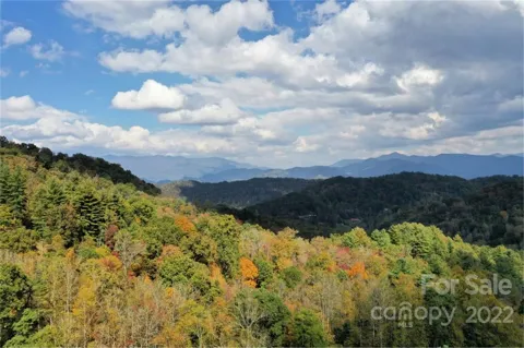 VL302 Mountain Forest Estates