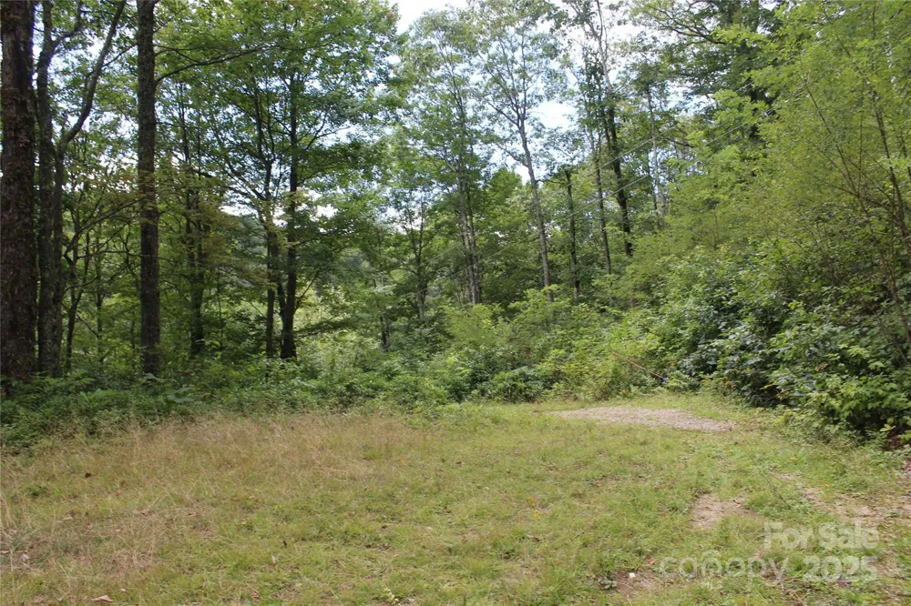 920 Autumn Drive Maggie Valley, NC 28751