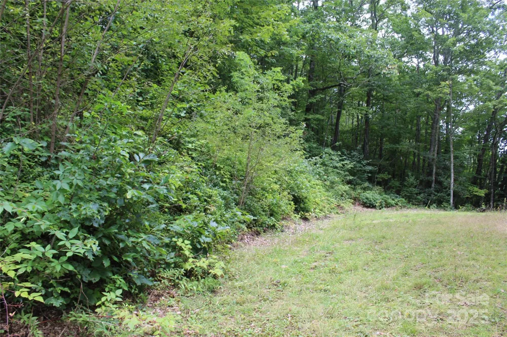 920 Autumn Drive Maggie Valley, NC 28751