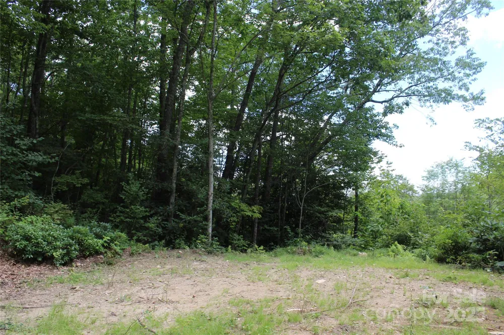 920 Autumn Drive Maggie Valley, NC 28751