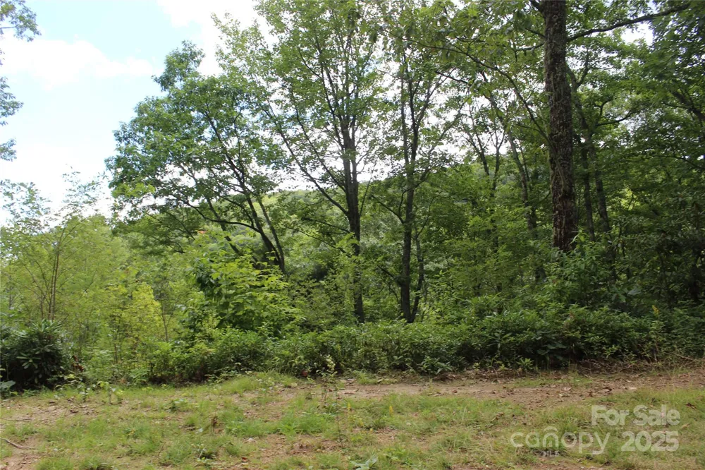 920 Autumn Drive Maggie Valley, NC 28751