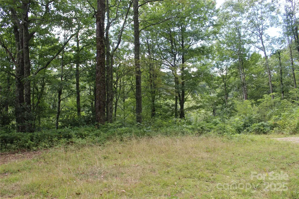 920 Autumn Drive Maggie Valley, NC 28751
