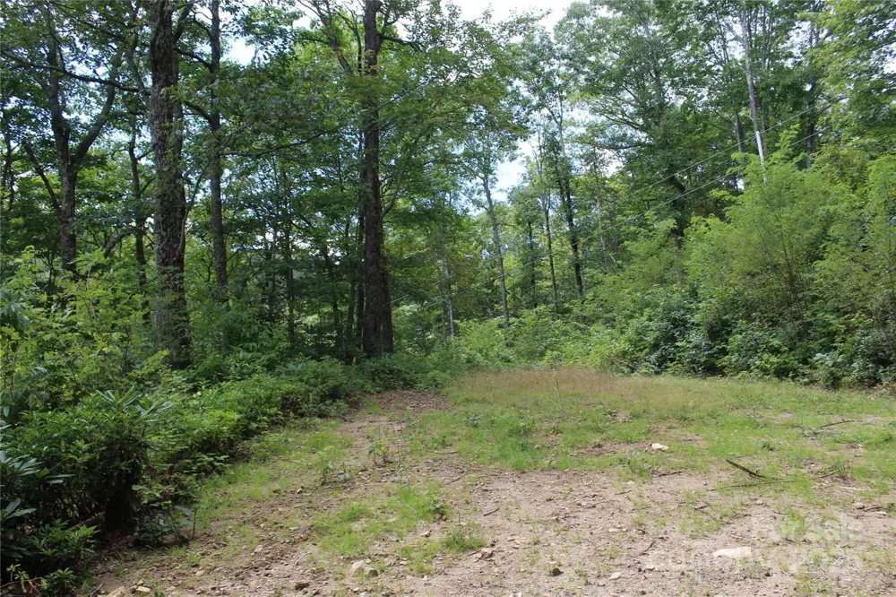 920 Autumn Drive Maggie Valley, NC 28751