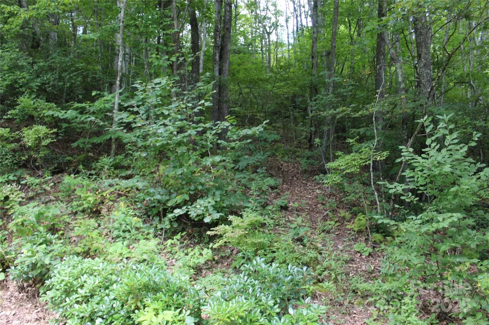 920 Autumn Drive Maggie Valley, NC 28751