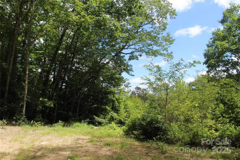 920 Autumn Drive Maggie Valley, NC 28751